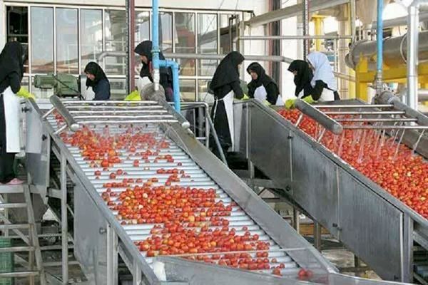 فعالیت ۱۵۲ واحد تولیدی صنایع تبدیلی و غذایی در چهارمحال و بختیاری
