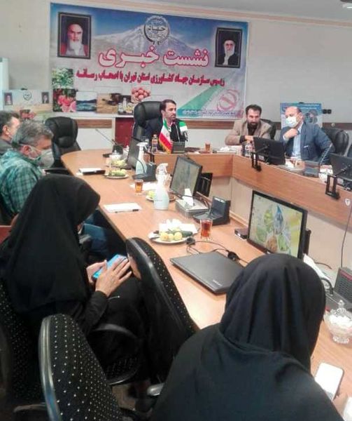 عرضه دوبرابری مرغ در استان تهران بازار را به آرامش می‌رساند