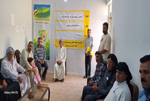 آشنایی با نحوه شناسایی آفت کرم برگخوار پاییزه