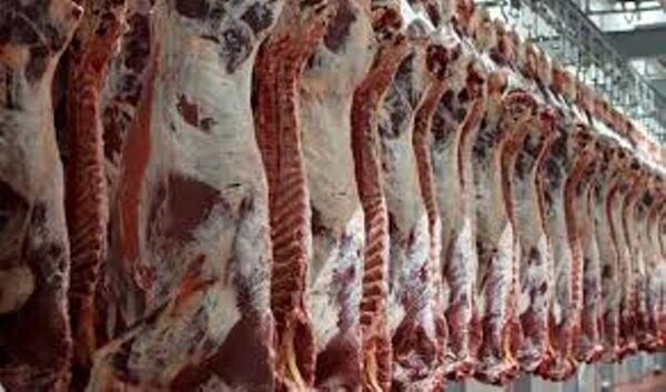واردات گوشت قرمز به استان اصفهان ممنوع شد