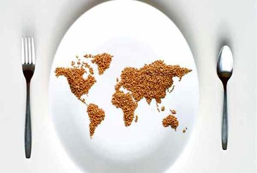 افزایش ۶۶ درصدی سهم صادرات کشاورزی و صنایع غذایی از مجموع صادرات کشور