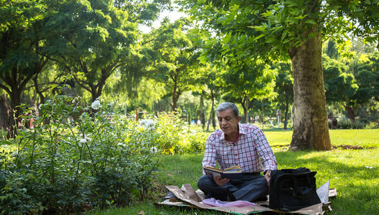 استراحت در فضای سبز شهری