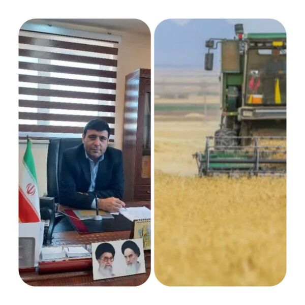 تعاون روستایی ‌۴۷ هزار تن ‌گندم کشاورزان ‌بوشهری را خریداری کرد 