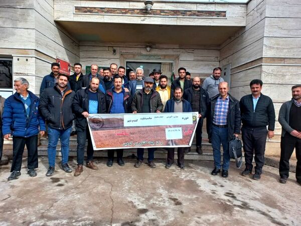 بهره برداران شهرستان قزوین با کشت گیاهان سازگار با کم آبی آشنا شدند