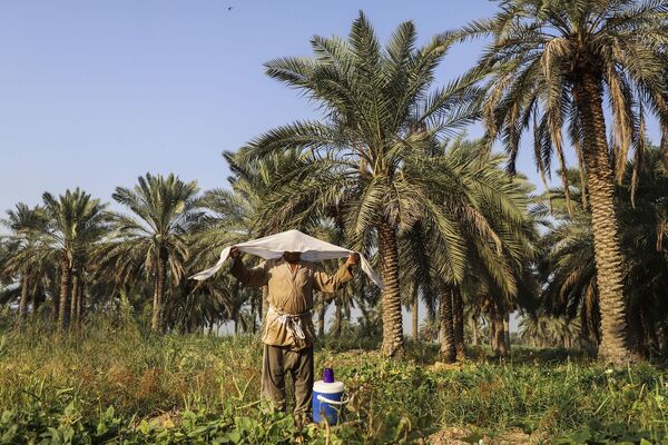 زمستان بی‌سرما، بهار بی‌شکوفه