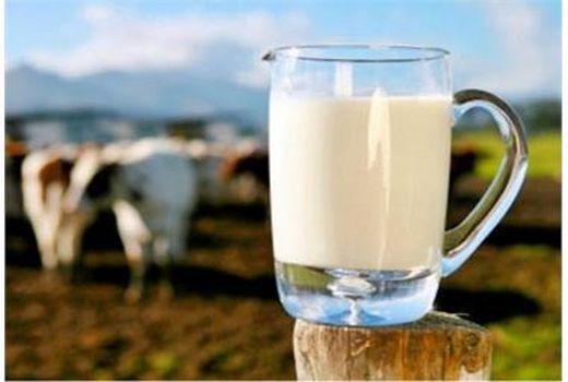 تولید 12.5 هزار تن شیر خام در تنکابن/ ارزش اقتصادی 800 میلیاردی