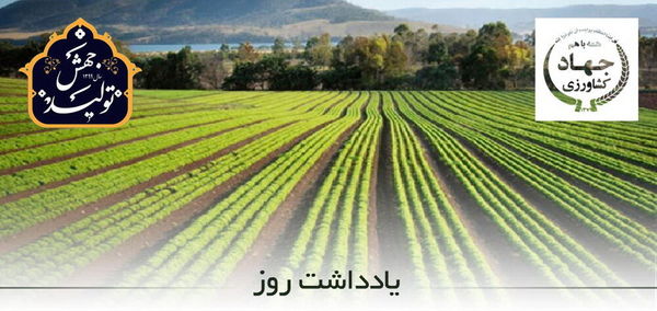 اجرای طرح جهش تولید در 155 هزار هکتار از اراضی زراعی آذربایجان غربی