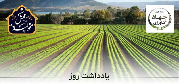 اجرای طرح جهش تولید در 155 هزار هکتار از اراضی زراعی آذربایجان غربی