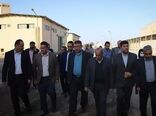 بازدید معاون وزیر و رئیس سازمان دامپزشکی کشور از ظرفیت‌های دامی و قرنطینه‌ای در سیستان و بلوچستان