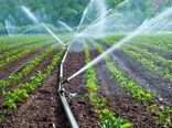 کمک بلاعوض دولت برای اجرای سامانه‌های نوین آبیاری در یزد