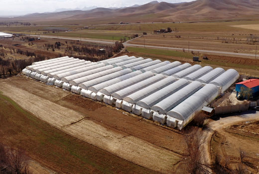 ۸۵ پروژه کشاورزی در چهارمحال و بختیاری آماده بهره‌برداری است