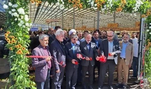 بازار بزرگ گل قزوین افتتاح شد