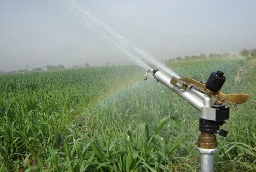اجرای سامانه‌های نوین آبیاری در ۳۴۶ هکتار از اراضی استان قزوین