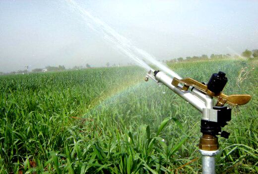 اجرای سامانه‌های نوین آبیاری در ۳۴۶ هکتار از اراضی استان قزوین