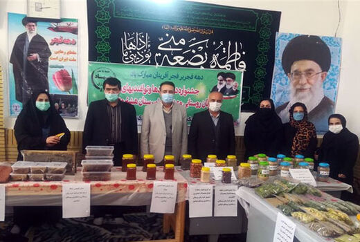 فعالیت 6 صندوق اعتبار خرد زنان روستایی در شهرستان هشترود 