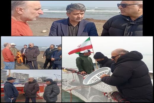 گام نوین شیلات مازندران در توسعه آبزی‌پروری دریایی با گونه‌های بومی