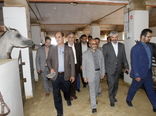 بازدید استاندار  یزد از طرح‌های کشاورزی استان