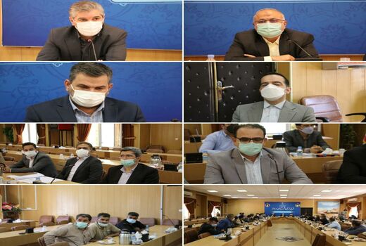 مشکل کمبود نهاده‌ دامی با آزادسازی از گمرک تا دوهفته آینده رفع می شود