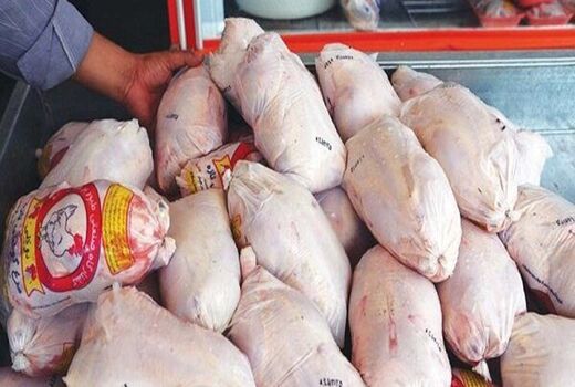 آغاز خرید مرغ شیرینگ پک از مرغداران استان
