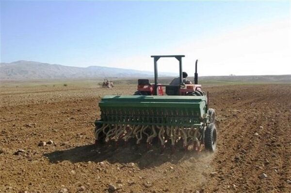 اختصاص 533 هزار هکتار از اراضی کردستان به کشت گندم 