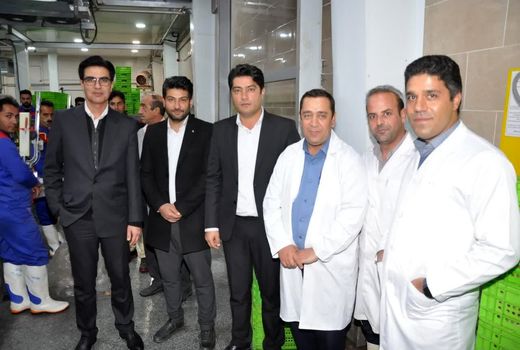 تولید مرغ آ مثبت در مرند