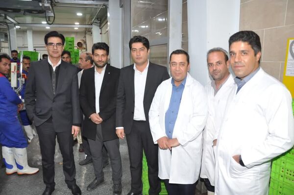 تولید مرغ آ مثبت در مرند