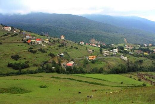 مهلت یک ساله دولت برای سنددار کردن ۷۷۲۰ هکتار از اراضی ملی