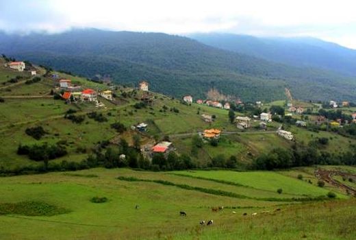 اجرای 105 هزار هکتار طرح کاداستر و 450 هکتار توسعه جنگل کاری