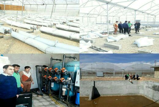 اولین گلخانه هیدروپونیک اسفراین در مراحل پایانی ساخت