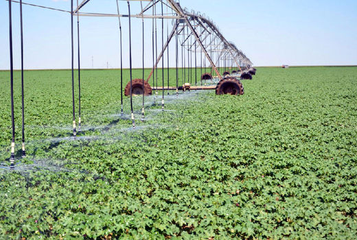 اجرای سیستم‌های آبیاری تحت فشار در 66 هزارهکتار از اراضی کشاورزی آذربایجان شرقی