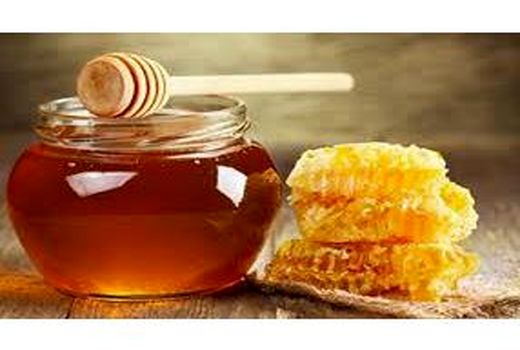 تولید 153 تن عسل در نکا