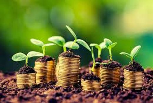 جذب سرمایه با مشارکت مردم برای تکمیل و ایجاد واحدهای تولیدی بخش کشاورزی در استان زنجان