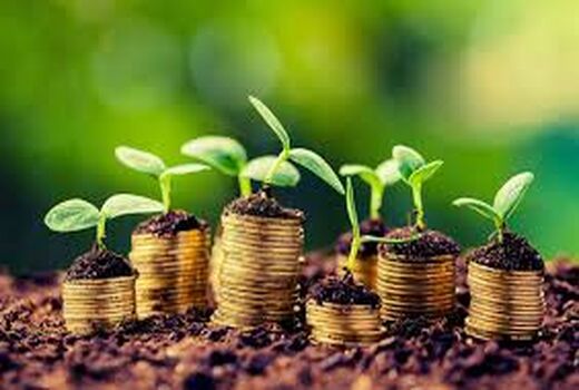 جذب سرمایه با مشارکت مردم برای تکمیل و ایجاد واحدهای تولیدی بخش کشاورزی در استان زنجان