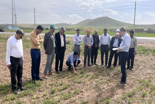  اهمیت ترویج و توسعه محصولات تناوبی