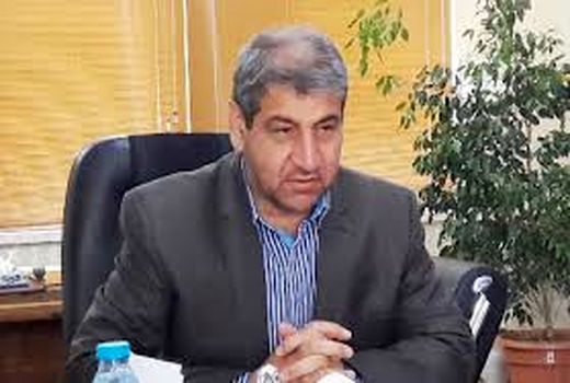 طرح سرشاخه کاری گردو، بهبود کیفیت و یکنواختی محصول تولیدی را به همراه دارد