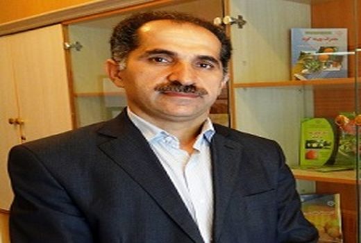 معرفی سه رقم جدید بادام کاغذی برای نخستین بار در کشور