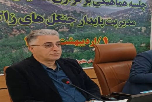 زاگرس می‌درخشد، اما زخمی‌ست/ ضرورت انسجام ملی برای نجات جنگل‌های بلوط