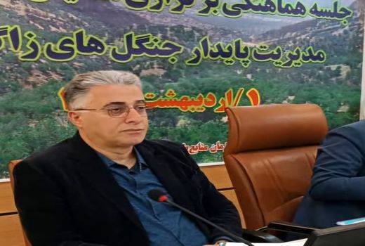 زاگرس می‌درخشد، اما زخمی‌ست/ ضرورت انسجام ملی برای نجات جنگل‌های بلوط