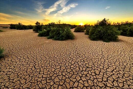 تغییرات اقلیمی و تأثیر عمیق آن بر تنوع محصولات کشاورزی