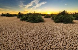 تغییرات اقلیمی و تأثیر عمیق آن بر تنوع محصولات کشاورزی