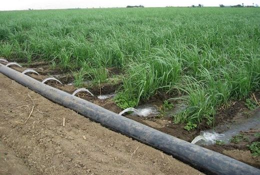 کشاورزان یزدی ۴.۶ هزار هکتار سامانه آبیاری نوین در دست اجرا دارند