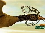 مثل مرغ مزه مزه کن!