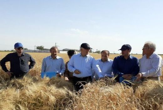 کاهش ارزش واردات کشاورزی  از 14 میلیارد دلار به 6 میلیارد دلار 