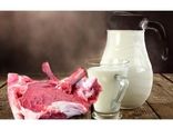 تولید سالانه 63 هزار تن شیر و گوشت قرمز در بابلسر