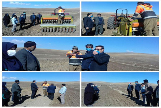 کشت 29 هزار هکتار گندم و 13 هزار هکتار جو آبی و دیم در شهرستان اهر