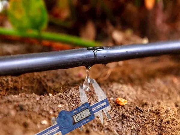 رشد بازار آبیاری دقیق با توجه به افزایش تقاضای غذا و غلات