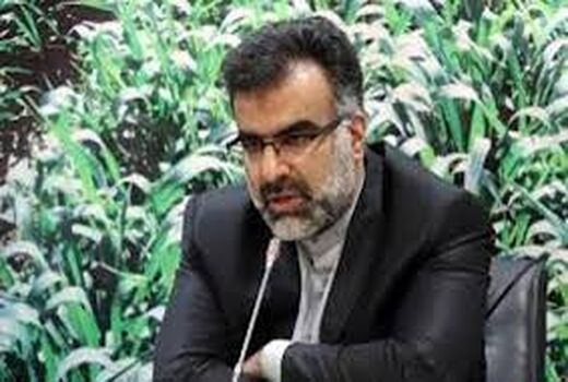 پرداخت تسهیلات کم بهره به تولید گیاهان دارویی