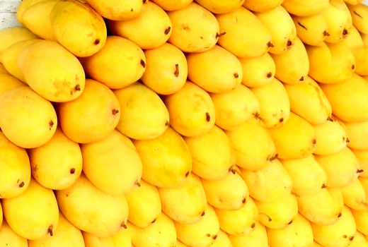 ورود 15 هزار تن انبه از مرز سیستان و بلوچستان به ایران