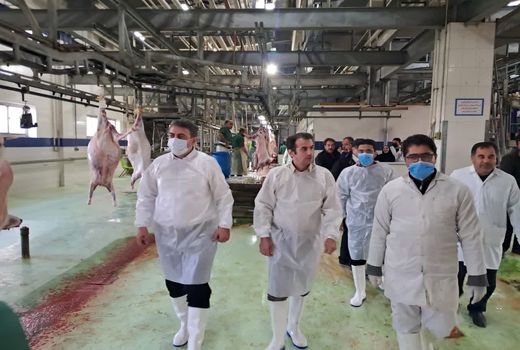 بازدید سرزده مدیرکل دامپزشکی استان از کشتارگاه صنعتی دام شهرداری تبریز