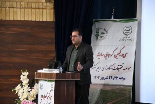 تأکید معاون پژوهش و فناوری سازمان تات بر اهمیت آینده‌پژوهی در کشاورزی دیم